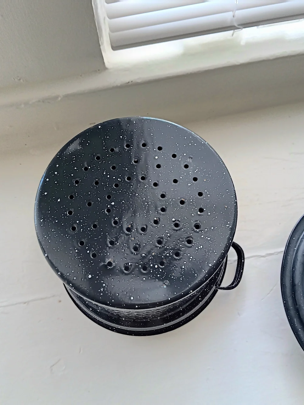 Enamel Speckled Black Stockpot and Roasting Pan Set - Black